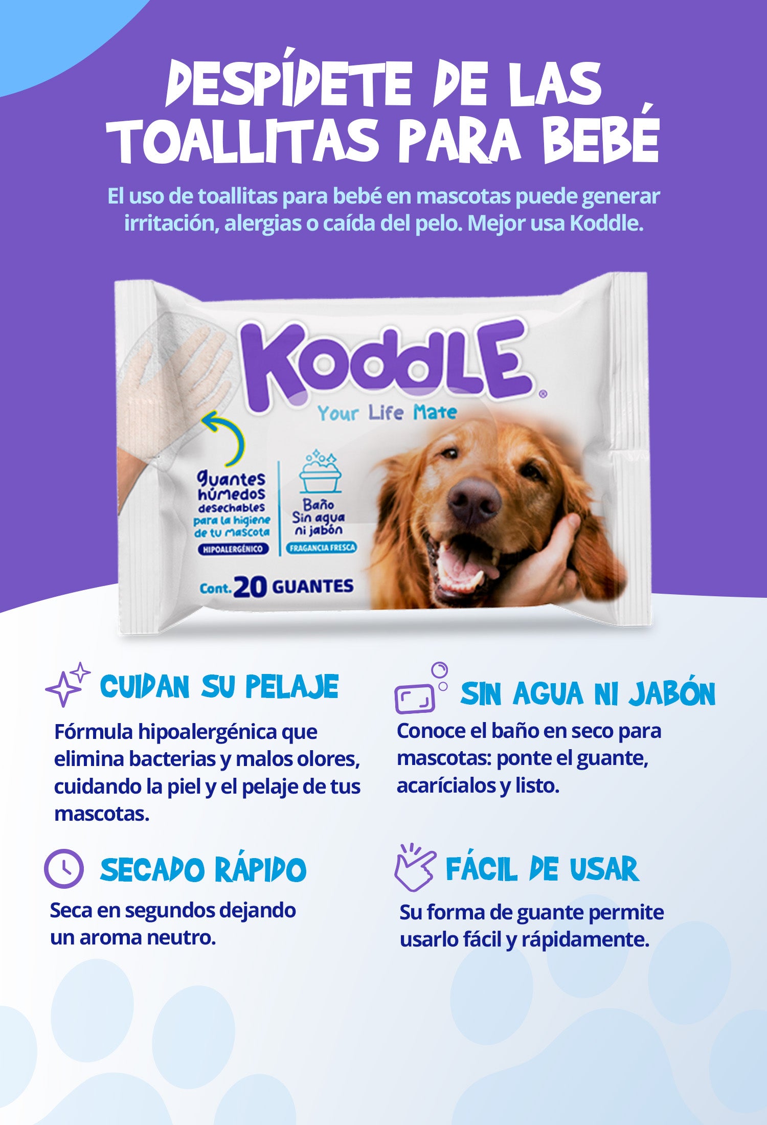 Koddle Shop tienda de mascotas – Koddle México